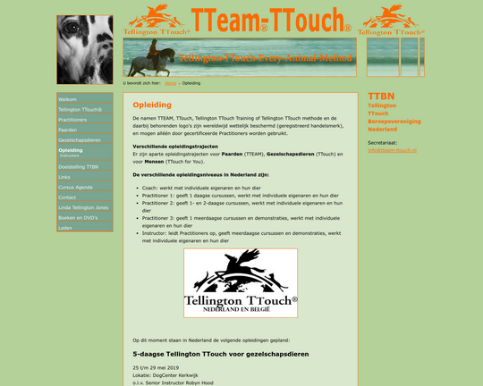 Tteam-Ttouch Logo