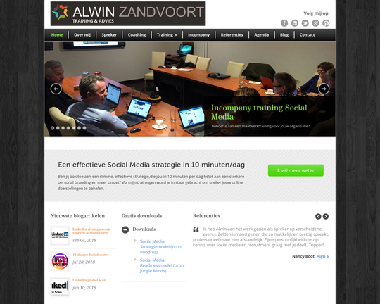 Alwin Zandvoort Logo