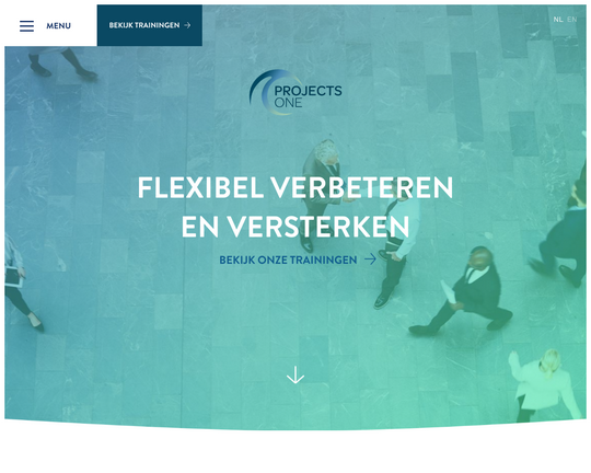 ProjectsOne Logo