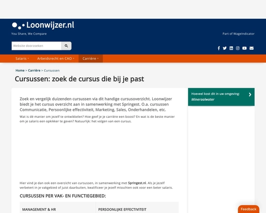 Loonwijzer.nl Logo